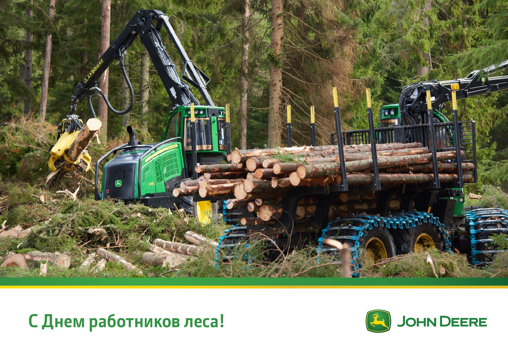 С Днем работника леса! в Санкт-Петербурге