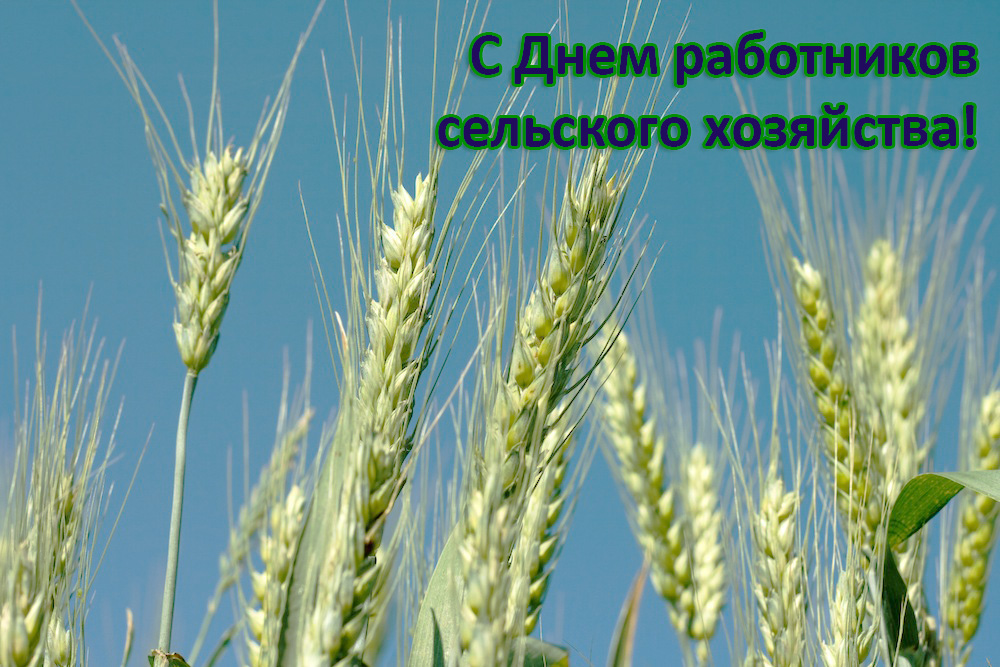 Специальные условия для сельхозпредприятий! в Санкт-Петербурге